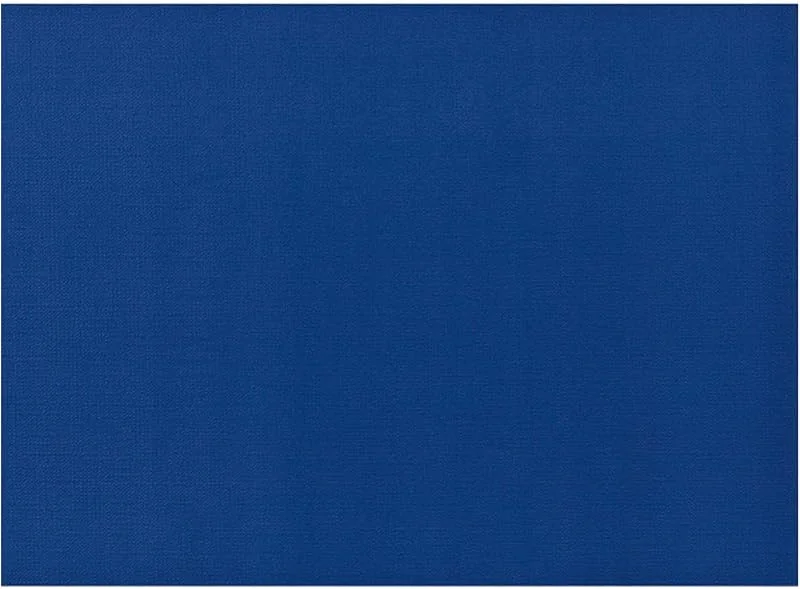 Marke: AVA AVA Tischsets Papier 43x30cm 50 Stück - Einweg Platzsets DIN A3 - Vielseitige Einfarbige Platzdeckchen & Tischuntersetzer für Hochzeit, Geburtstag und Alltag - Blau — Küche & Haushalt
